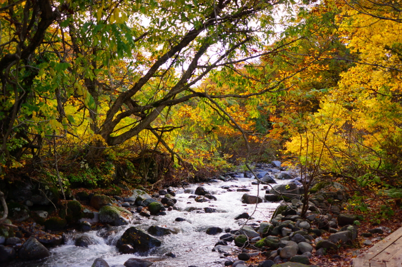 f:id:GSX-R1000:20131101214038j:image:w640