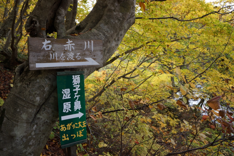 f:id:GSX-R1000:20131101214114j:image:w240