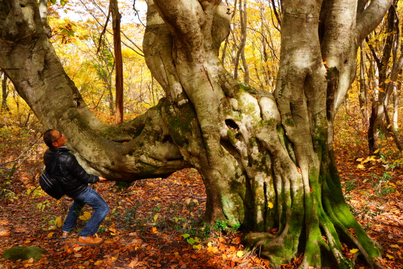 f:id:GSX-R1000:20131101214518j:image:w640