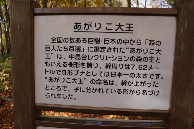 f:id:GSX-R1000:20131101214720j:image:w640