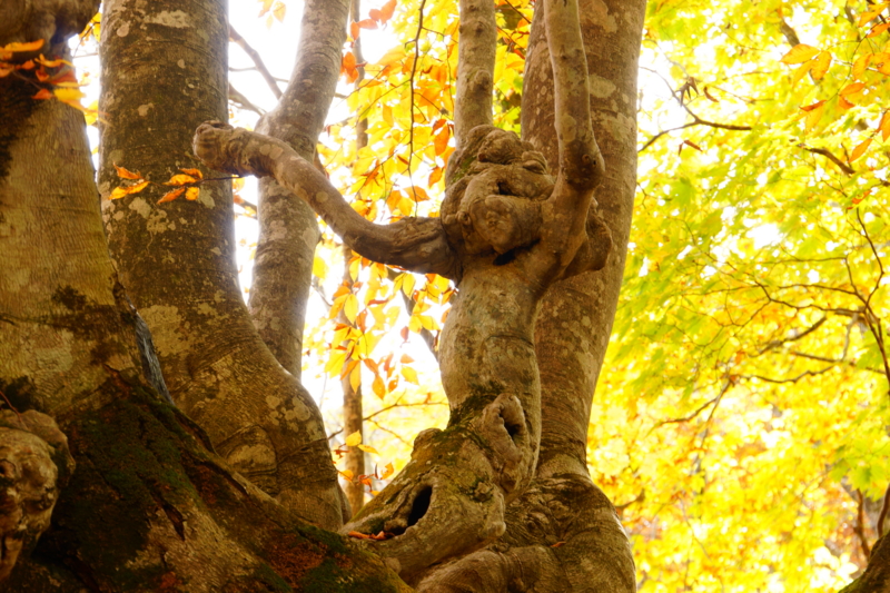 f:id:GSX-R1000:20131101215209j:image:w640