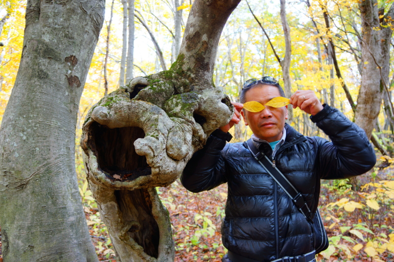 f:id:GSX-R1000:20131101215639j:image:w640