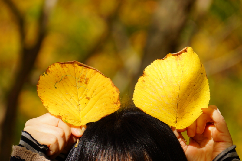 f:id:GSX-R1000:20131101220129j:image:w640