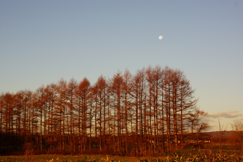 f:id:GSX-R1000:20131121182026j:image