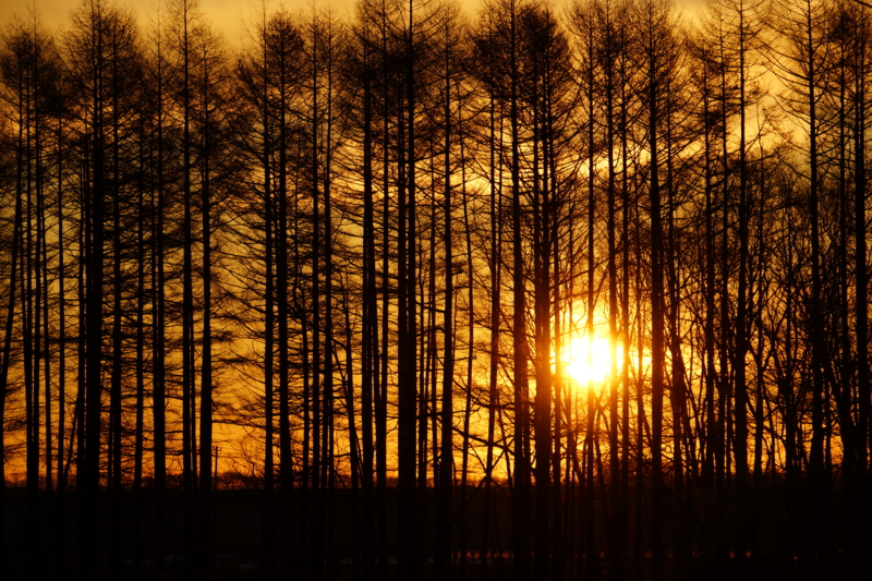 f:id:GSX-R1000:20131121182201j:image