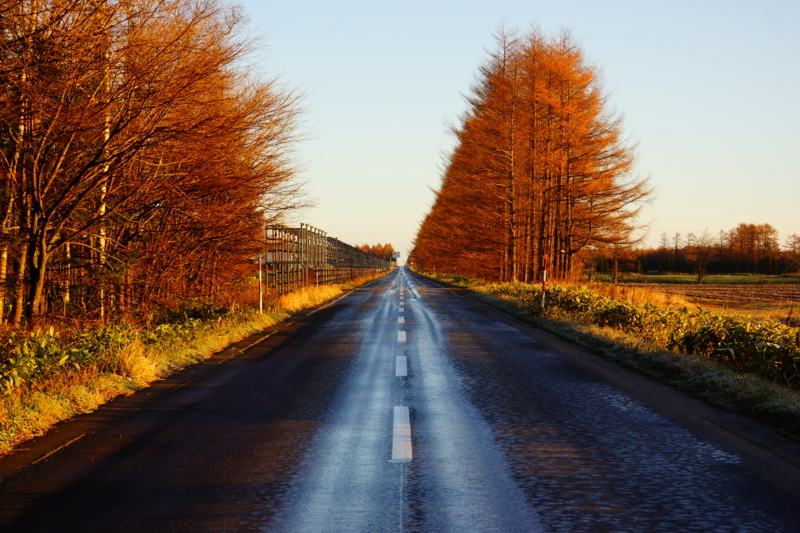 f:id:GSX-R1000:20131121182748j:image