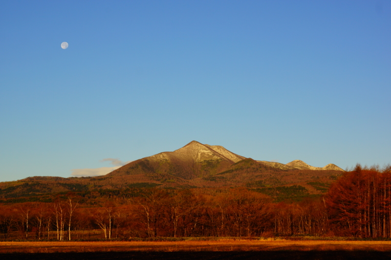 f:id:GSX-R1000:20131121183521j:image