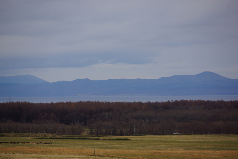 f:id:GSX-R1000:20131121183847j:image