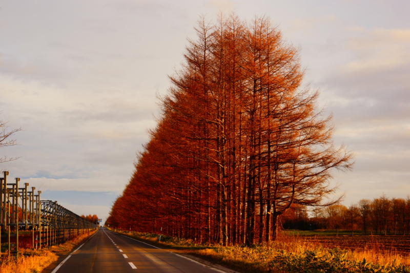 f:id:GSX-R1000:20131121183918j:image