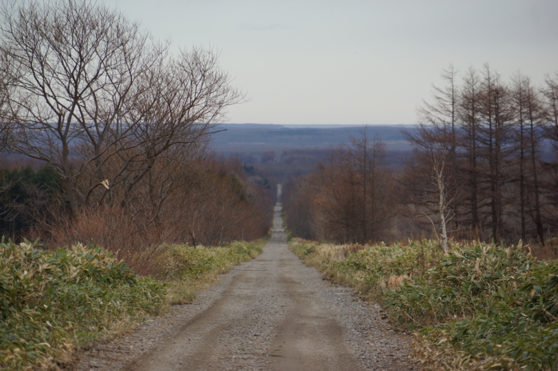 f:id:GSX-R1000:20131121184640j:image