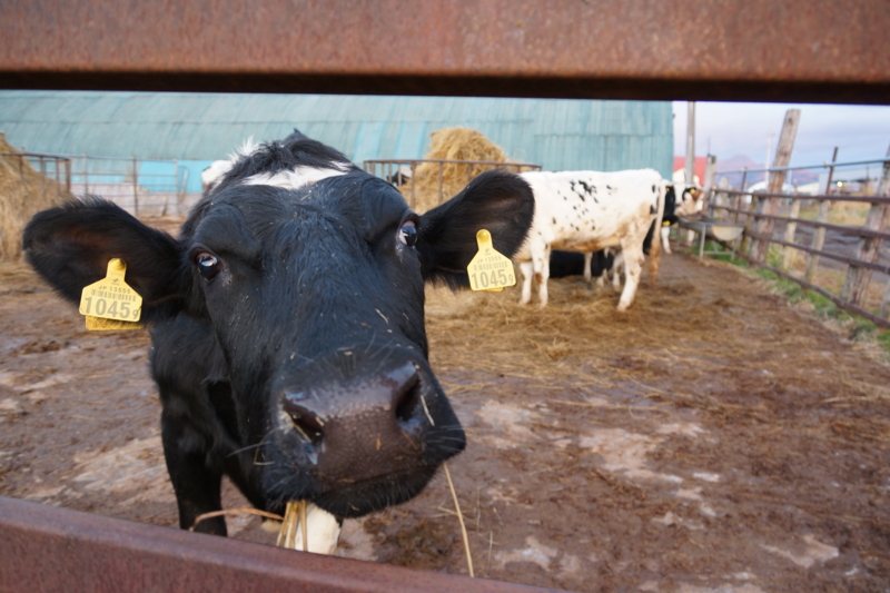 f:id:GSX-R1000:20131127204350j:image