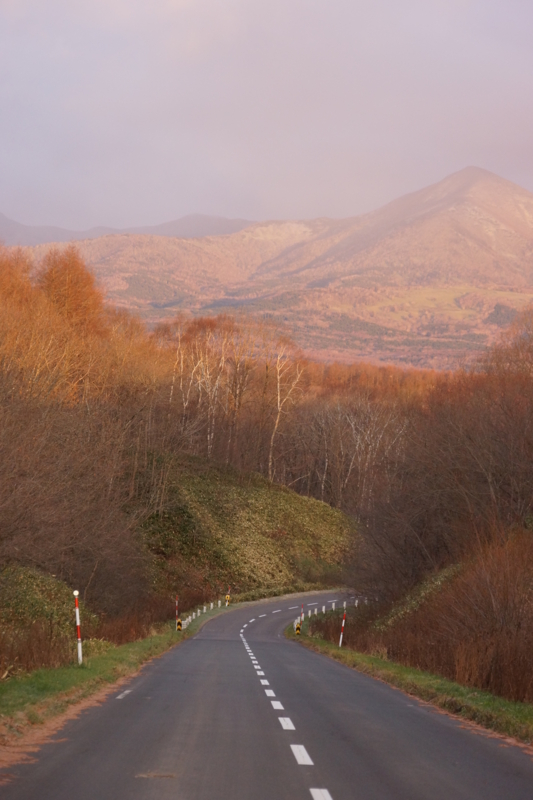 f:id:GSX-R1000:20131127204821j:image