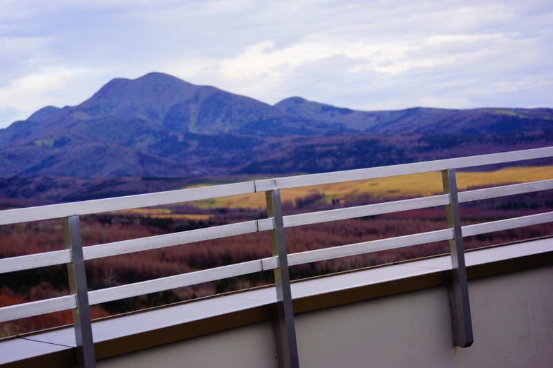 f:id:GSX-R1000:20131128212541j:image:w360:left