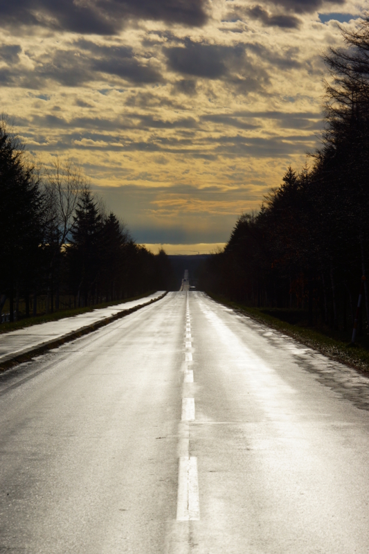 f:id:GSX-R1000:20131128215320j:image