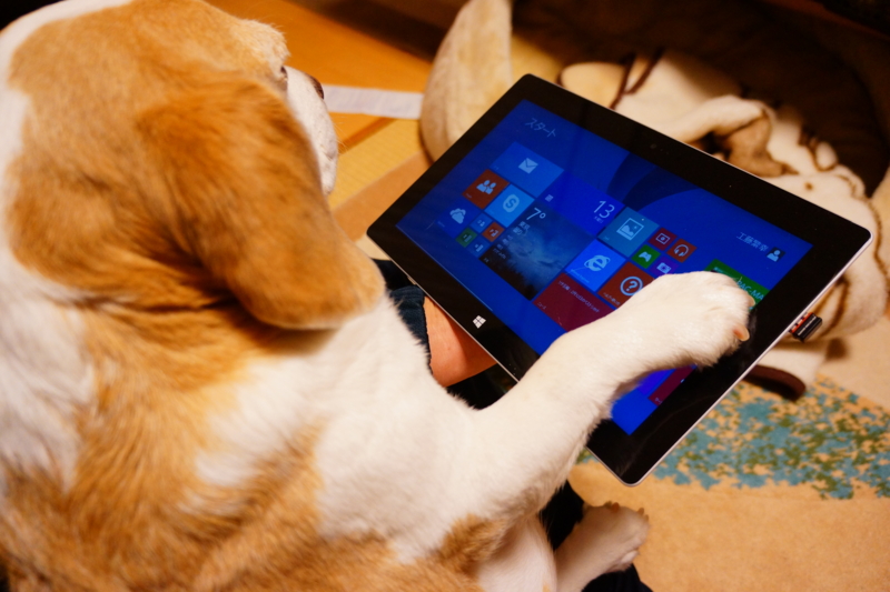 f:id:GSX-R1000:20140213204649j:image