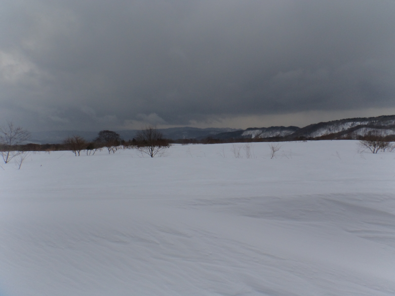 f:id:GSX-R1000:20140217193739j:image