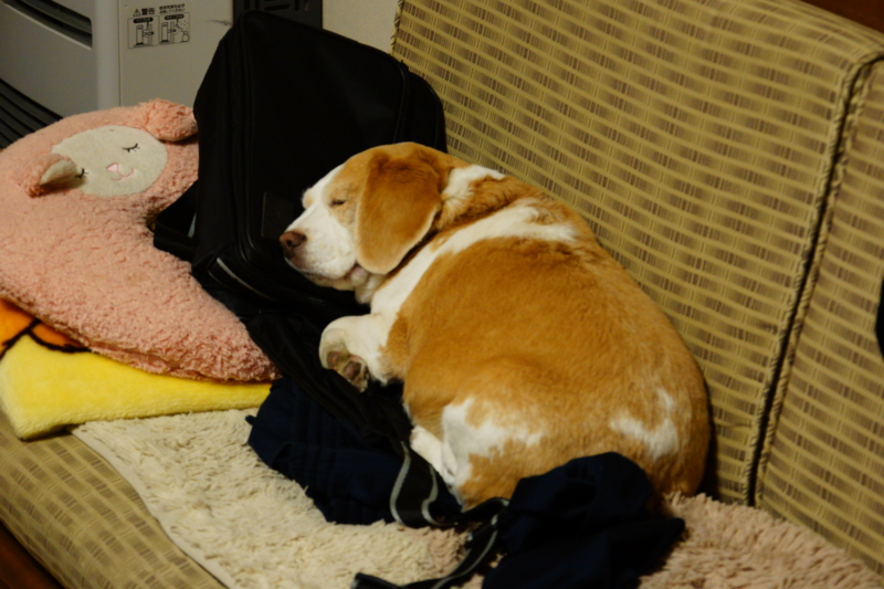 f:id:GSX-R1000:20140305192614j:image