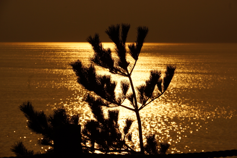 f:id:GSX-R1000:20140402220339j:image