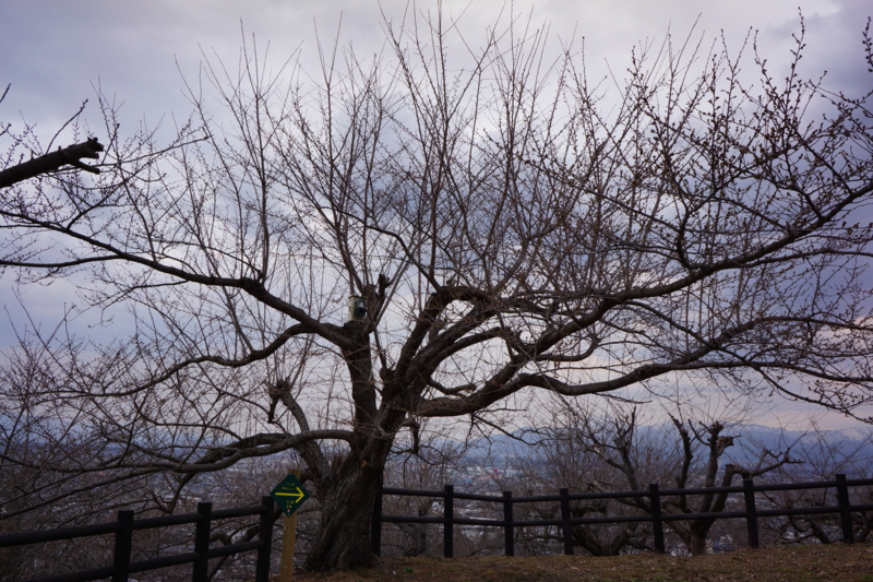 f:id:GSX-R1000:20140403200901j:image