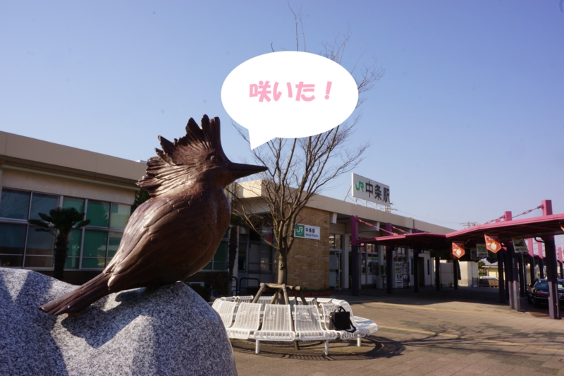 f:id:GSX-R1000:20140414221607j:image