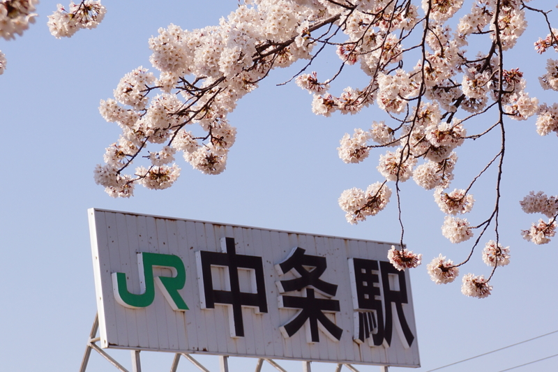 f:id:GSX-R1000:20140414221608j:image