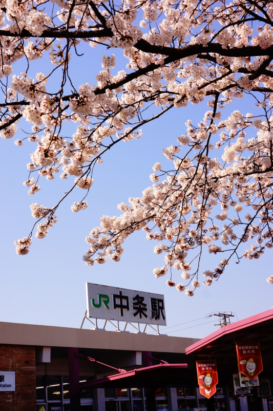 f:id:GSX-R1000:20140414221611j:image