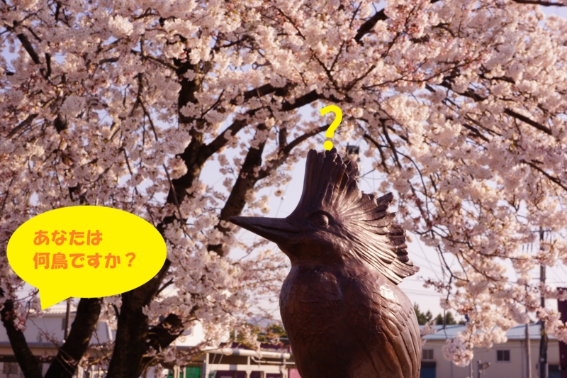 f:id:GSX-R1000:20140414221615j:image