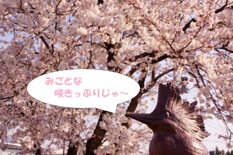 f:id:GSX-R1000:20140414221616j:image