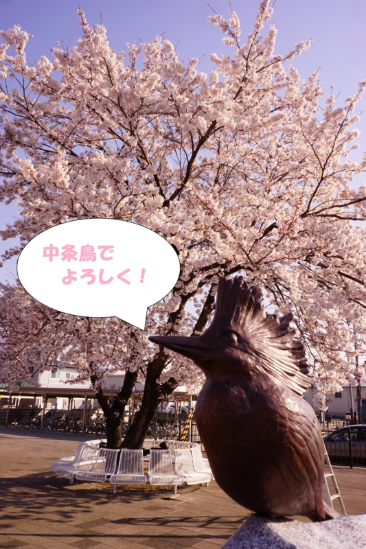 f:id:GSX-R1000:20140414221617j:image