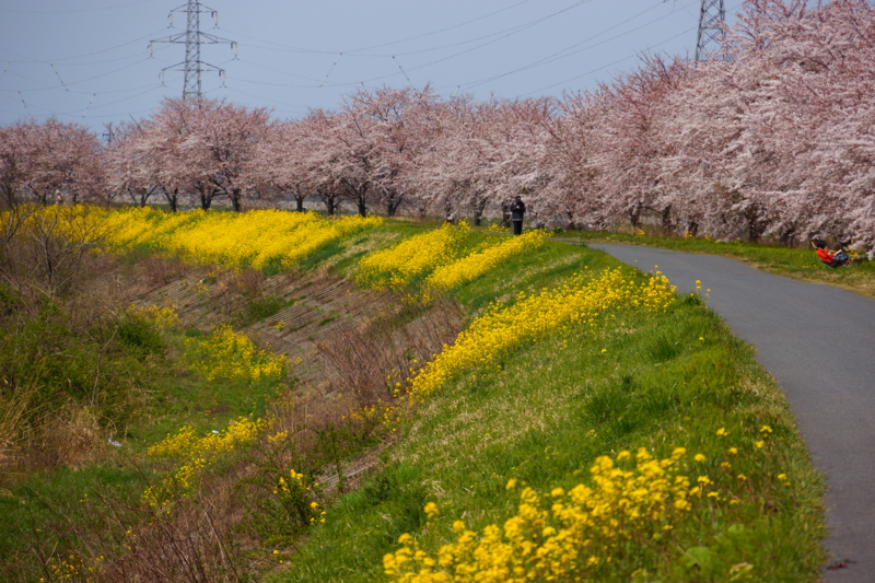 f:id:GSX-R1000:20140421212701j:image