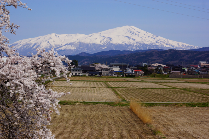 f:id:GSX-R1000:20140421212836j:image