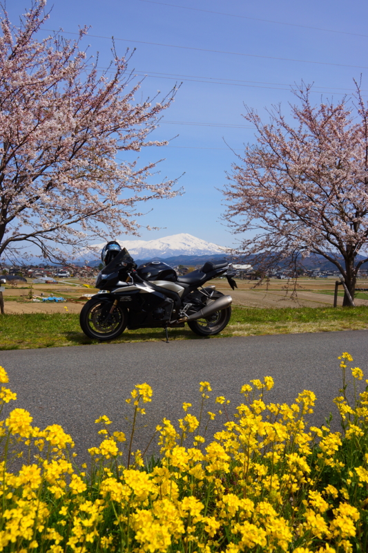 f:id:GSX-R1000:20140421213917j:image