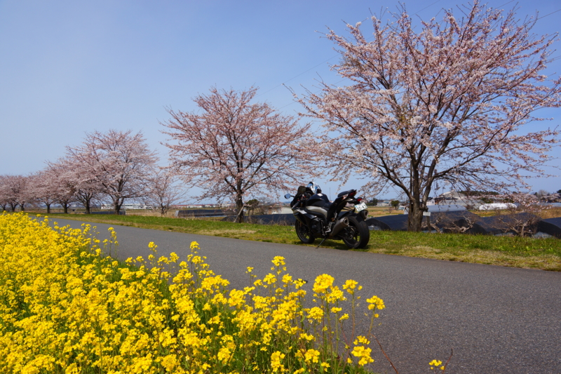 f:id:GSX-R1000:20140421213953j:image