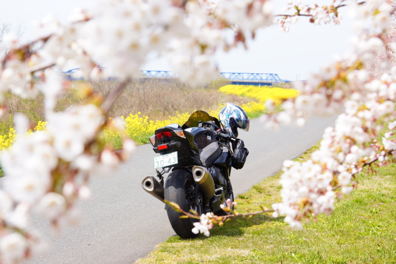 f:id:GSX-R1000:20140421214059j:image