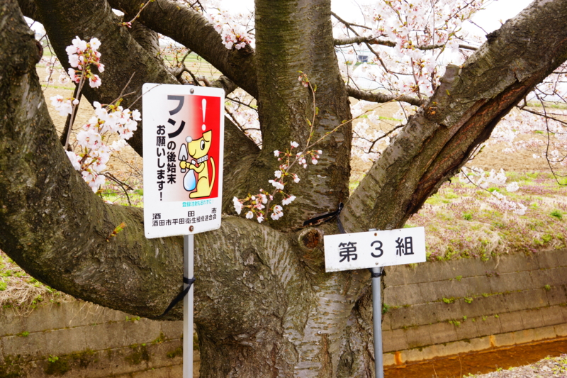 f:id:GSX-R1000:20140421215438j:image