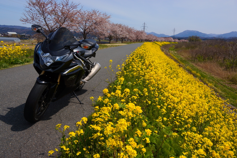 f:id:GSX-R1000:20140421215607j:image