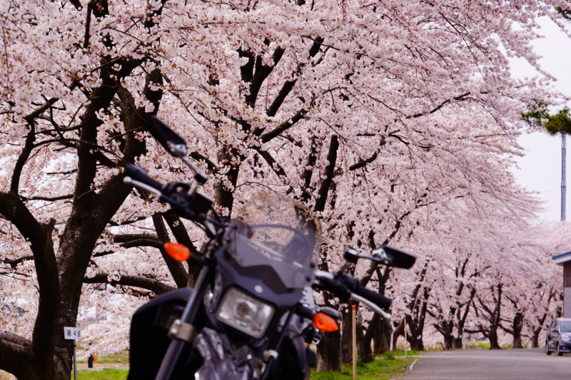 f:id:GSX-R1000:20140421220311j:image