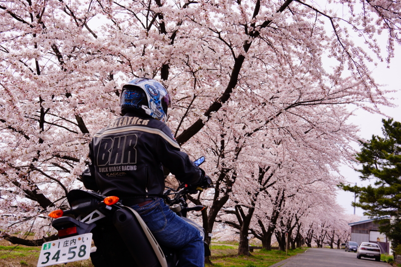 f:id:GSX-R1000:20140421220357j:image