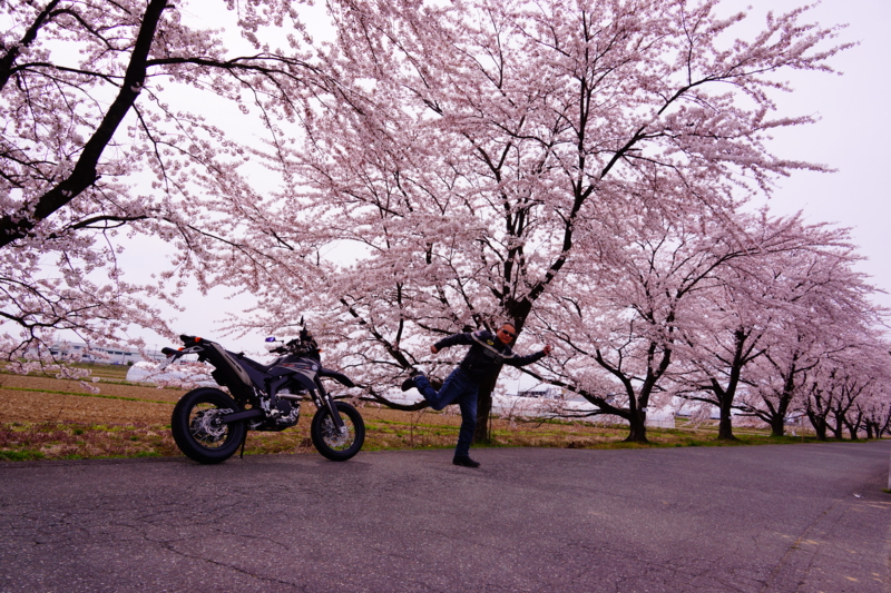 f:id:GSX-R1000:20140421220526j:image