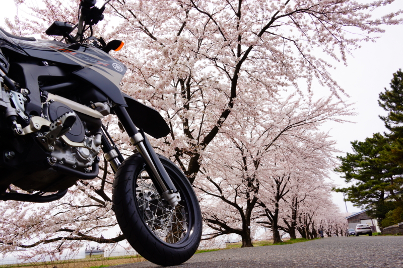 f:id:GSX-R1000:20140421220612j:image