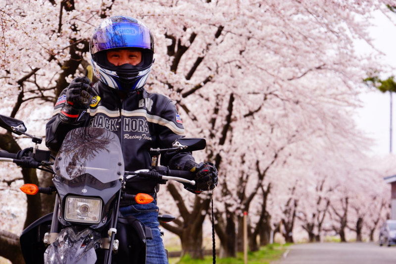 f:id:GSX-R1000:20140421221231j:image
