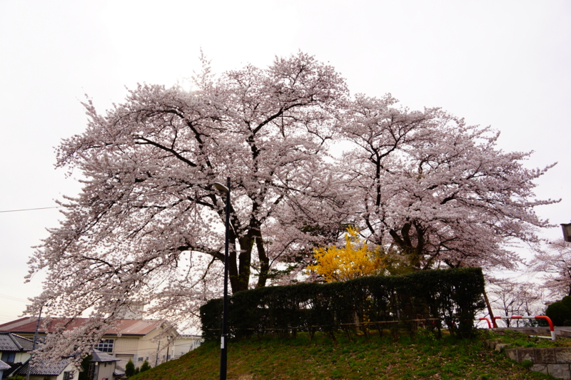 f:id:GSX-R1000:20140421221634j:image