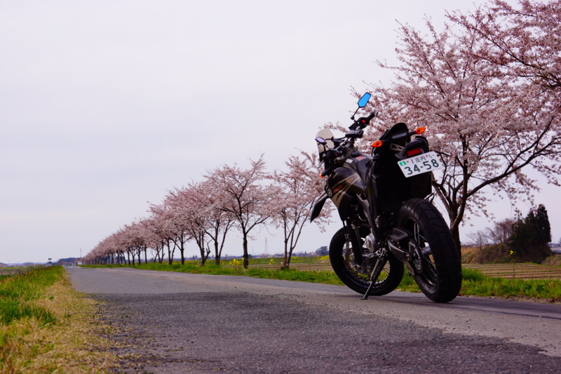 f:id:GSX-R1000:20140421222831j:image