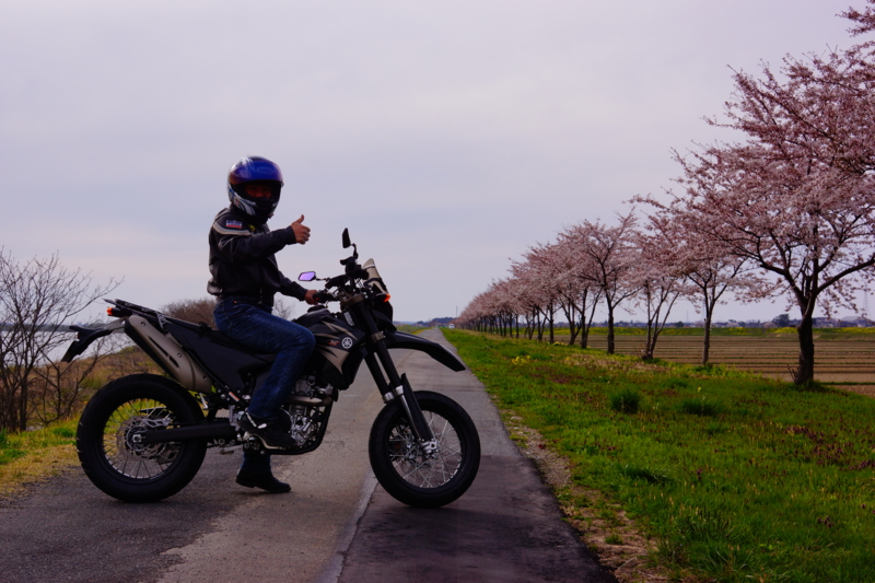 f:id:GSX-R1000:20140421223044j:image