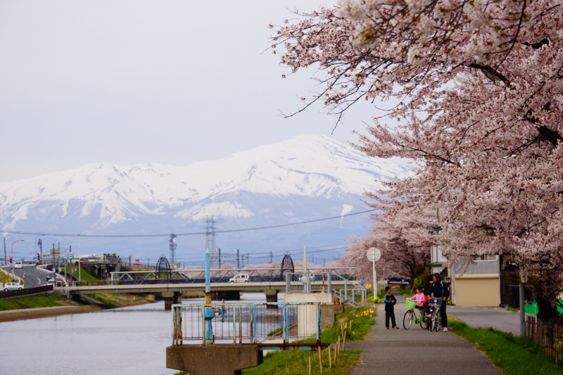 f:id:GSX-R1000:20140421223459j:image