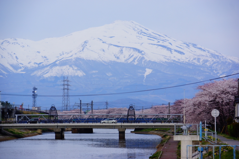 f:id:GSX-R1000:20140421223531j:image