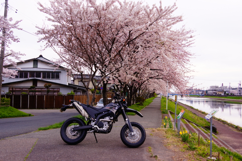 f:id:GSX-R1000:20140421224340j:image
