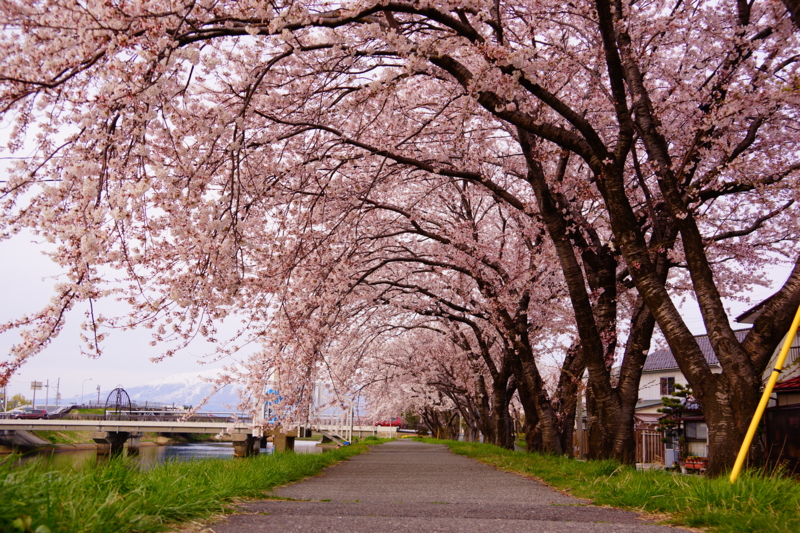f:id:GSX-R1000:20140421224413j:image