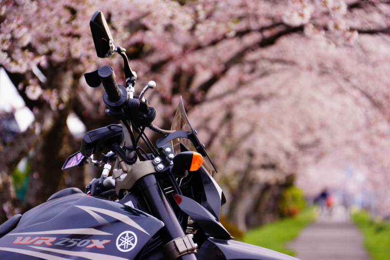 f:id:GSX-R1000:20140421224854j:image