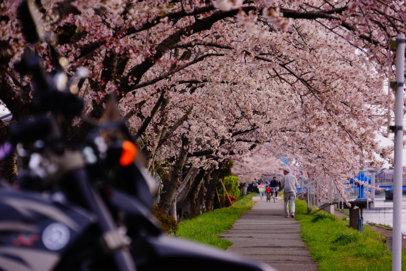 f:id:GSX-R1000:20140421224929j:image